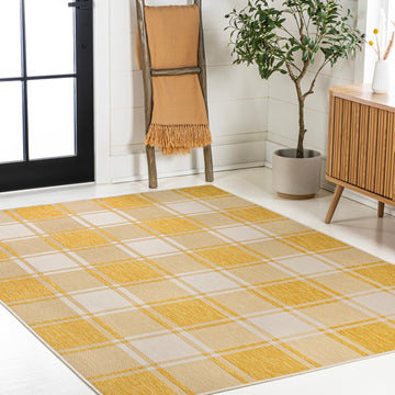 Sabine Traditional Farmhouse Bold Gingham Area Rug